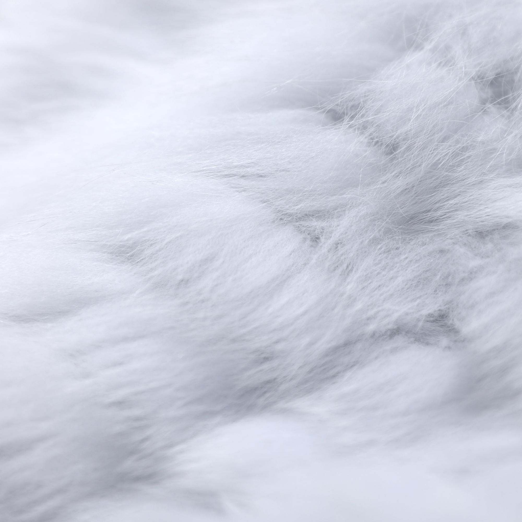 The image is a close-up of a fluffy, white surface, possibly a soft fabric or a cloud-like texture.