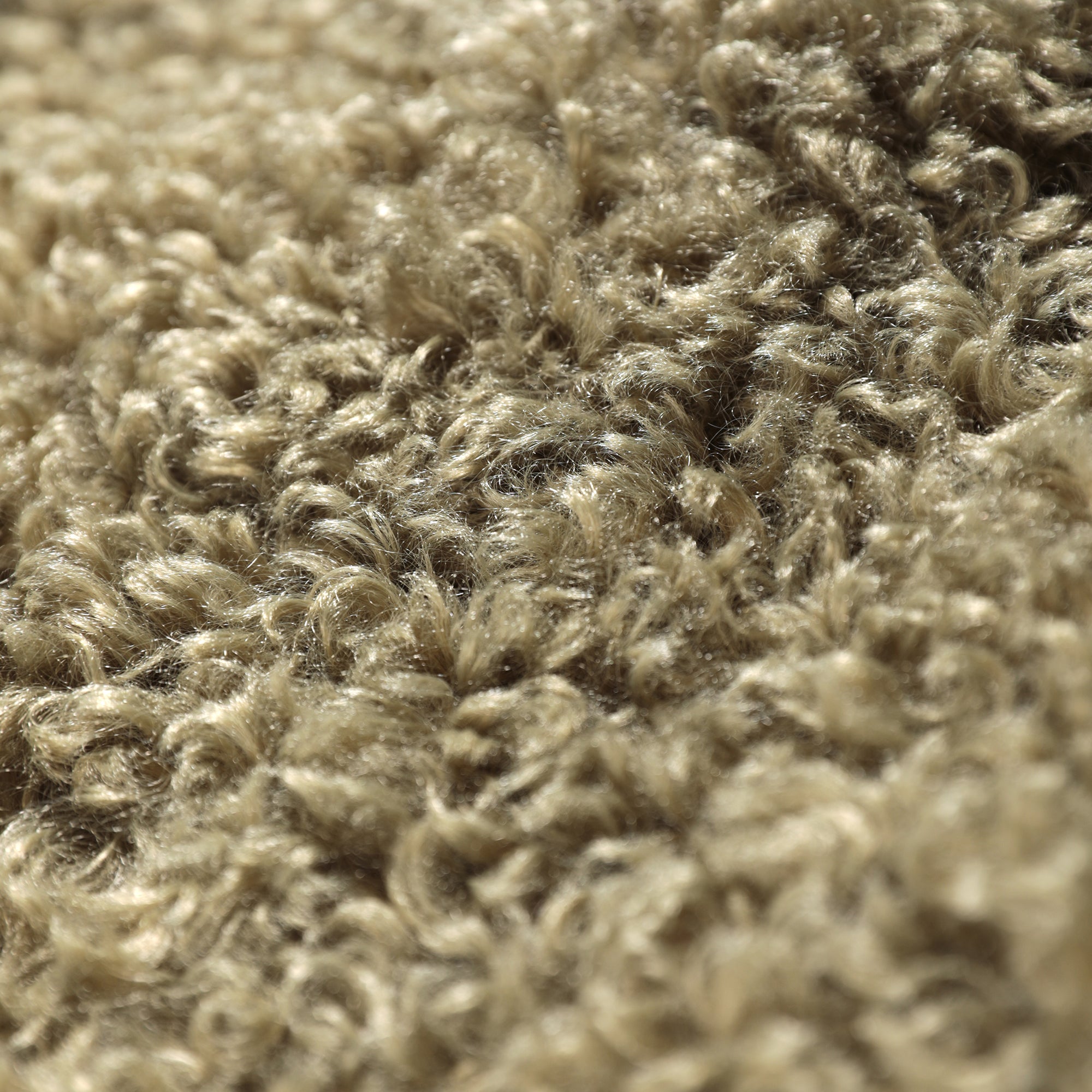 The image is a close-up of a fuzzy, textured surface, possibly a carpet or a fabric.