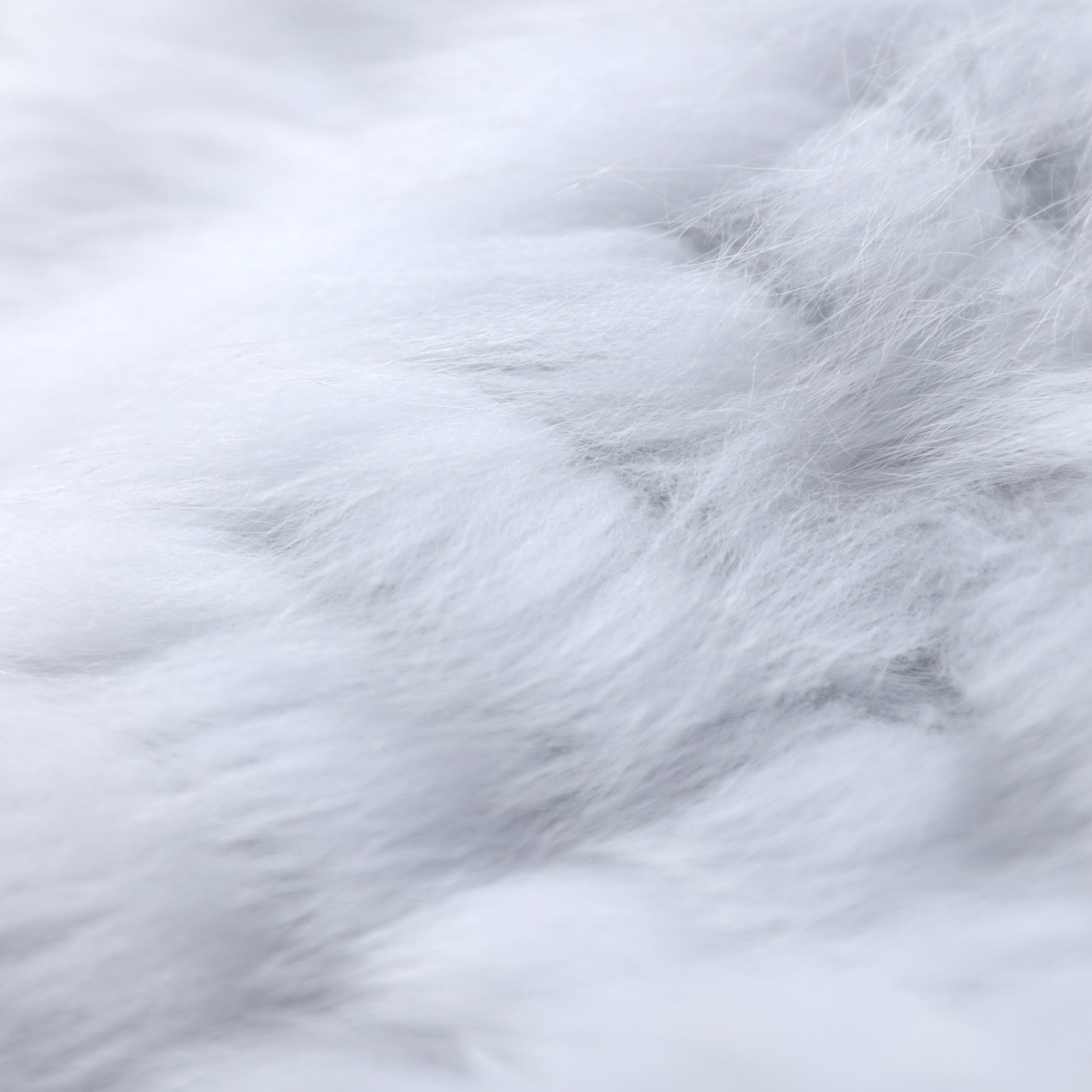 The image is a close-up of a fluffy, white surface, possibly a soft fabric or a cloud-like texture.